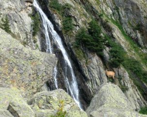 piacevoli incontri