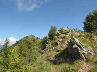 La cresta