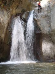 Il toboga  con saltatore 