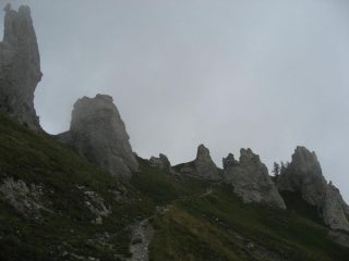 i denti