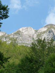 La parete del Cavallo