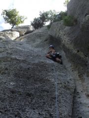 livelli di biecaggine