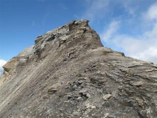 Sul crinale
