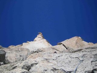 Il fungo finale dall'inizio delle placche