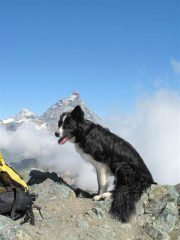 Foto anche per Saetta arrivato col suo papi