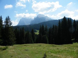 Sassolungo