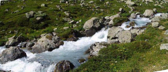 torrente tumultuoso