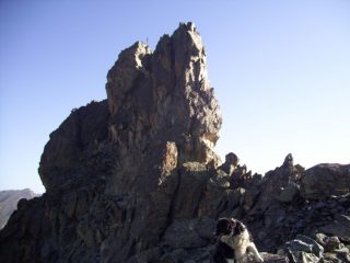 Jolie con la Tour Real