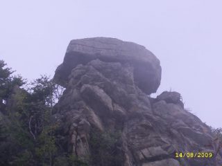 la tavola degli Dei