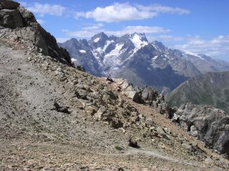 bivacco di stambecchi al cospetto della Meije