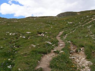 Bellissimo single track