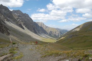 quasi in cima