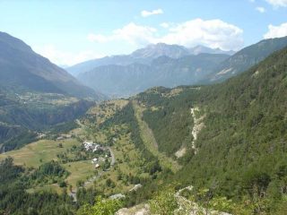 Villard Meyer