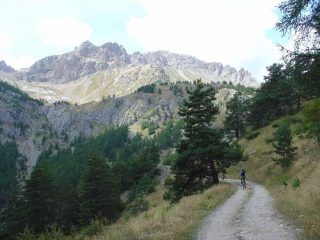 Quasi in cima