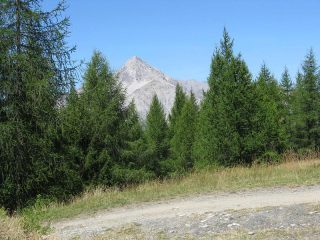 Lo Chaberton sullo sfondo