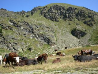 La cupola della Tour Ronde