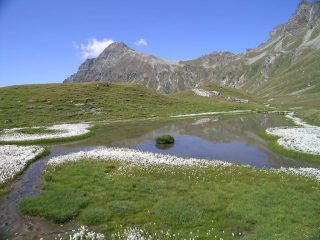 Il laghetto coi piumini ed il Faroma