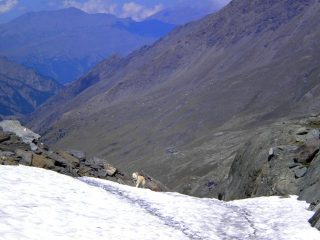 finalmente al passo Vallanta: verso il rif. du Viso