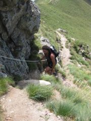 Webby in corda fissa