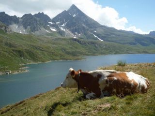 Lago Toggia