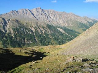 Il pendio da salire sopra la bergerie