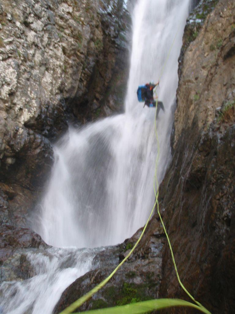 é possibile continuare e diventa C50