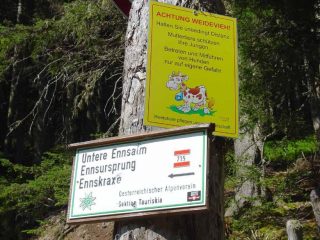 Verso la sorgente