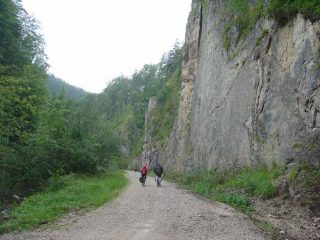 Kalkalpen