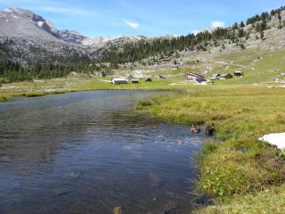 nel parco Fanes-Sennes-Braies