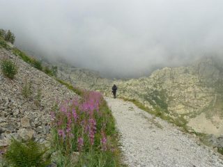 un tratto di sentiero in salita
