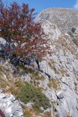 Ultima parte della cresta sud-est