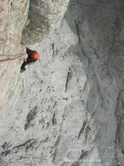 sulla Steger