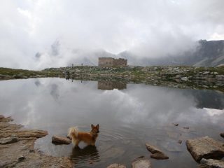 Il Lago
