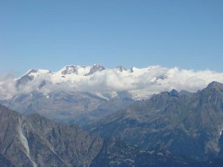 il Rosa dal Barbeston