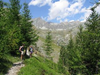 finalmente dopo tante pietre il verde e le piante