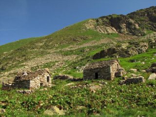 alpi beccua