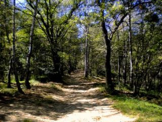 verso il Soglio dopo il Bioletto