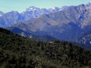 panorama sul Gran Paradiso