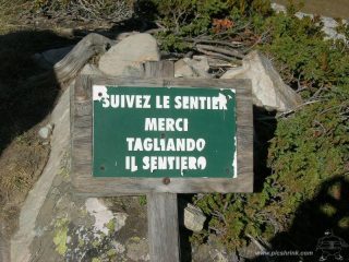 Chi è che ha tradotto?