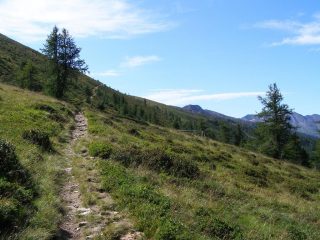 Sentiero a piedi in salita, ma ciclabile in discesa