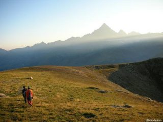 Sotto l'occhio del Re