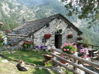 Alpe Vercosa : complimenti alla Signora !