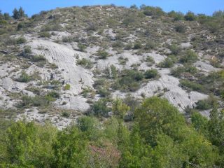 Il settore visto dalla strada