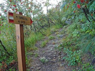 La palina al bivio a circa 1700 metri. 