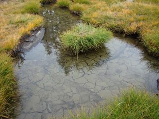 nel vallone del Laris