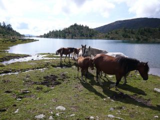Lago d'Andromia