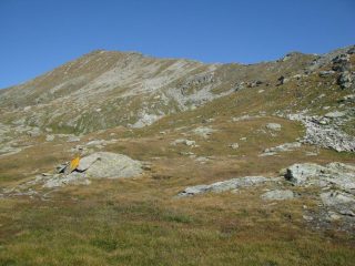 Punta Valfredda dal passo di  Valnera