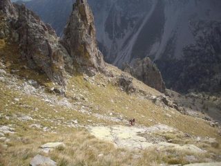 ripidi pendii d'erba