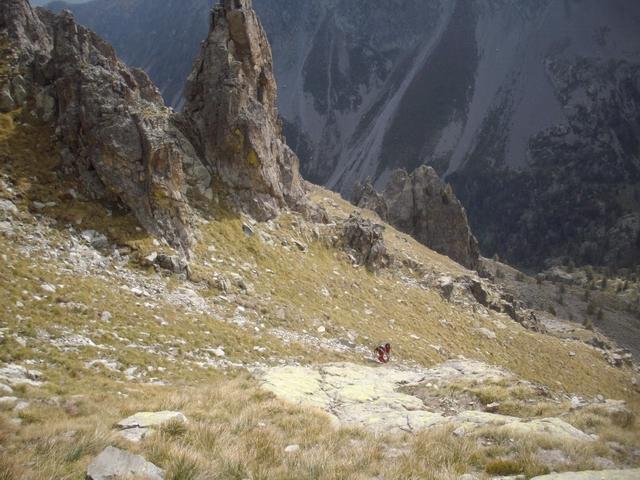 ripidi pendii d'erba