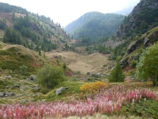 la conca sotto alla diga di Cignana
